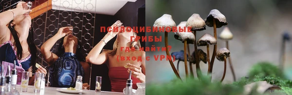 крисы Алексин