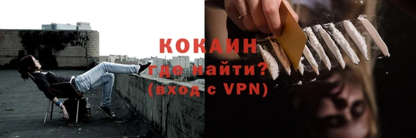 гашик Гатчина