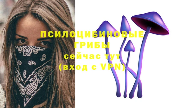 крисы Алексин