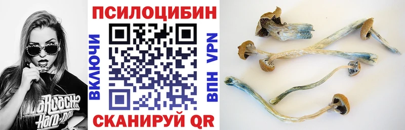 Псилоцибиновые грибы прущие грибы  Глазов 