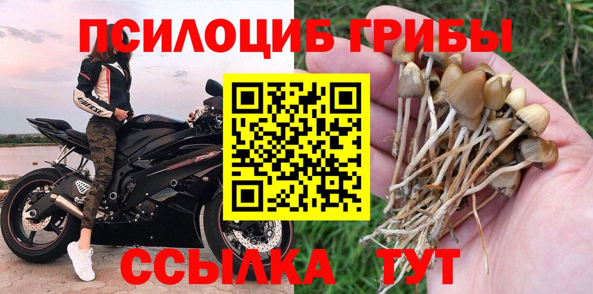 Псилоцибиновые грибы ЛСД Глазов